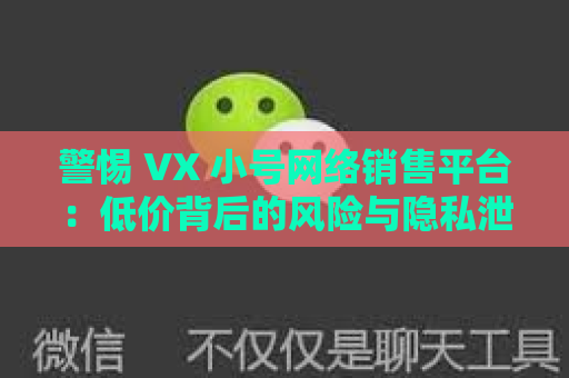 警惕 VX 小号网络销售平台：低价背后的风险与隐私泄露危机