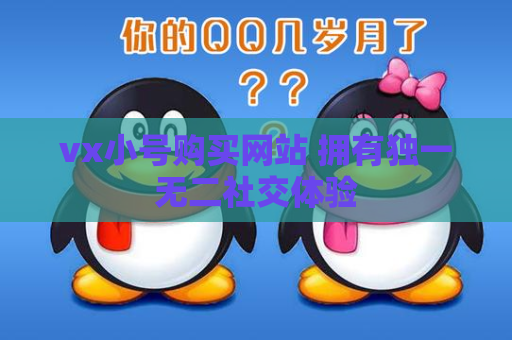 vx小号购买网站 拥有独一无二社交体验