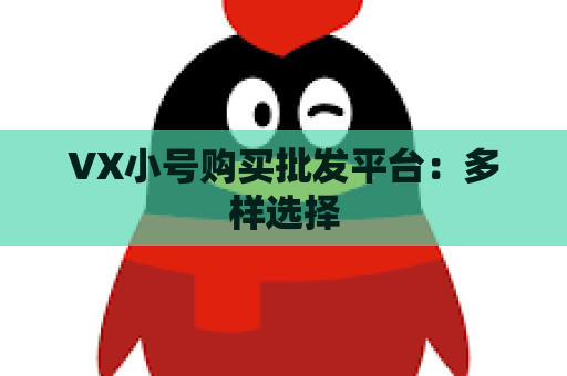 VX小号购买批发平台：多样选择