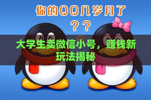 大学生卖微信小号，赚钱新玩法揭秘